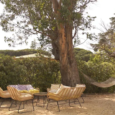 Grand Mas Provencal, A 200m, Parking Prive Ferme, Piscine Chauffee *