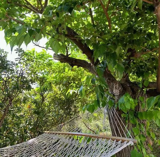 Villa Grand Mas Provençal, à 200m, Parking Privé Fermé, Piscine Chauffée