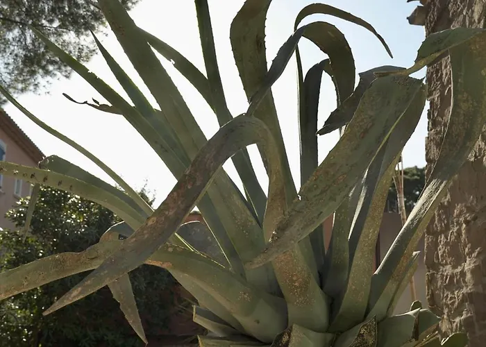 Villa Grand Mas Provencal, A 200m, Parking Prive Ferme, Piscine Chauffee *